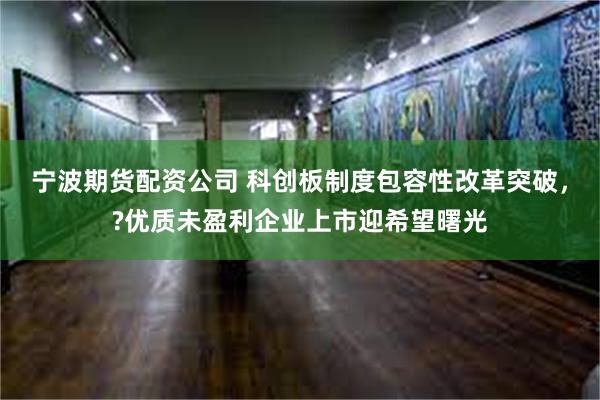 宁波期货配资公司 科创板制度包容性改革突破，?优质未盈利企业上市迎希望曙光