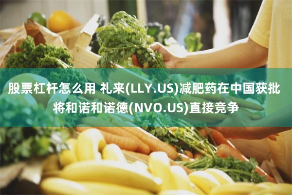 股票杠杆怎么用 礼来(LLY.US)减肥药在中国获批 将和诺和诺德(NVO.US)直接竞争