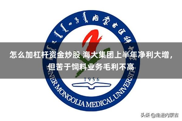 怎么加杠杆资金炒股 海大集团上半年净利大增，但苦于饲料业务毛利不高