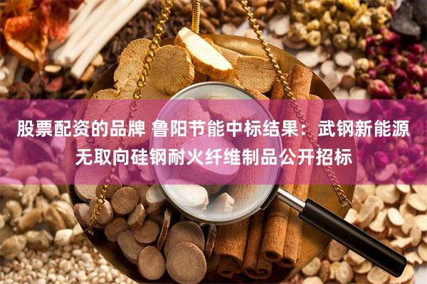 股票配资的品牌 鲁阳节能中标结果：武钢新能源无取向硅钢耐火纤维制品公开招标