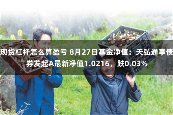 现货杠杆怎么算盈亏 8月27日基金净值：天弘通享债券发起A最新净值1.0216，跌0.03%