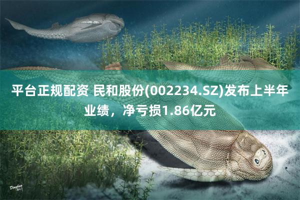 平台正规配资 民和股份(002234.SZ)发布上半年业绩，净亏损1.86亿元