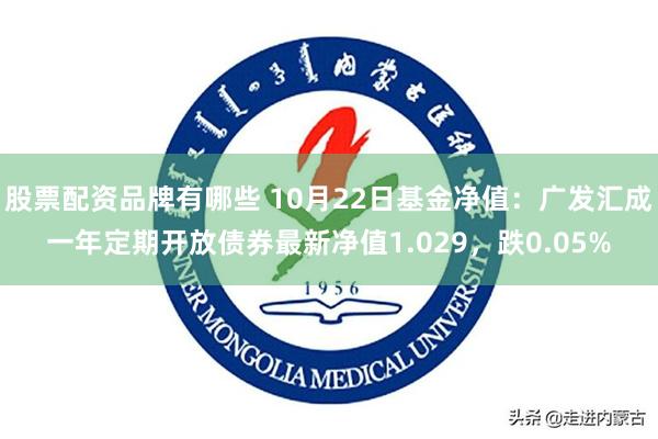 股票配资品牌有哪些 10月22日基金净值：广发汇成一年定期开放债券最新净值1.029，跌0.05%