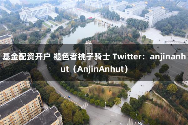 基金配资开户 褪色者桃子骑士 Twitter：anjinanhut（AnjinAnhut）