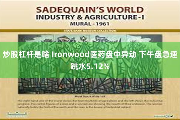 炒股杠杆是啥 Ironwood医药盘中异动 下午盘急速跳水5.12%