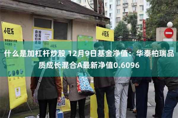 什么是加杠杆炒股 12月9日基金净值：华泰柏瑞品质成长混合A最新净值0.6096