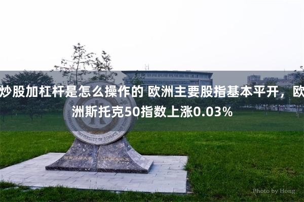 炒股加杠杆是怎么操作的 欧洲主要股指基本平开，欧洲斯托克50指数上涨0.03%