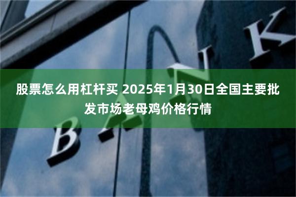 股票怎么用杠杆买 2025年1月30日全国主要批发市场老母鸡价格行情