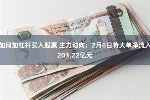 如何加杠杆买入股票 主力动向：2月6日特大单净流入203.22亿元