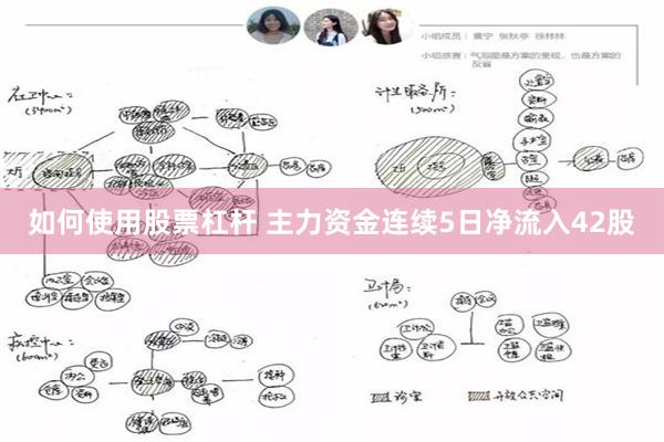 如何使用股票杠杆 主力资金连续5日净流入42股