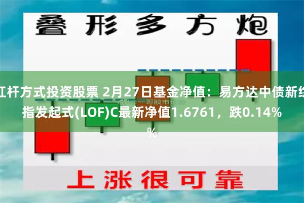 杠杆方式投资股票 2月27日基金净值：易方达中债新综指发起式(LOF)C最新净值1.6761，跌0.14%