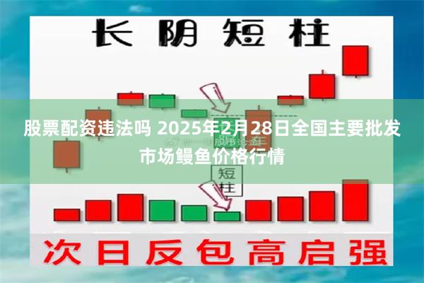 股票配资违法吗 2025年2月28日全国主要批发市场鳗鱼价格行情